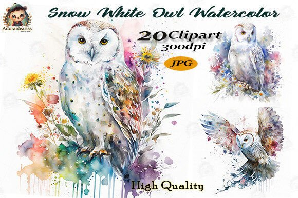 Download Snow White Owl Watercolor Clipart Set - Watercolor clipart Collection